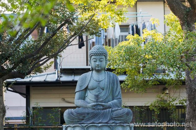 子安地蔵　妙顕寺