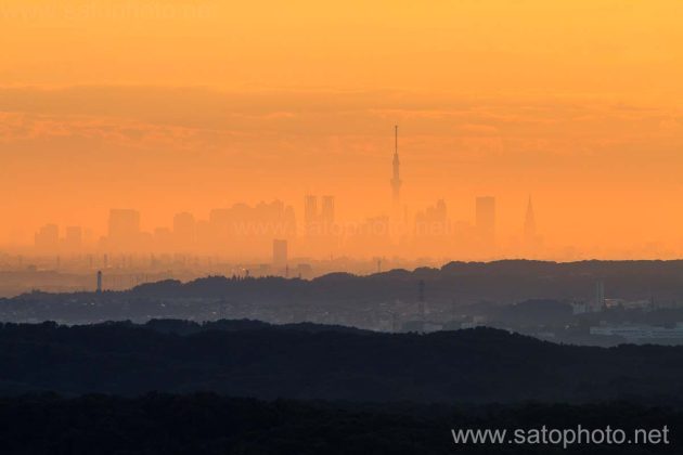 スカイツリー　神奈川県