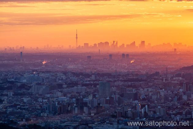 スカイツリー　東京都