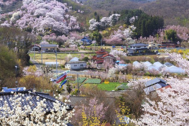 風景写真