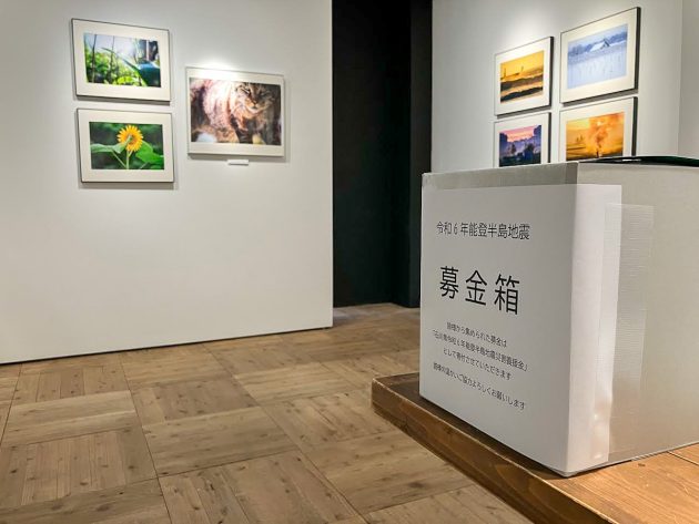 写真展