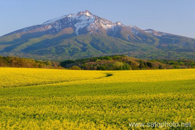 風景写真