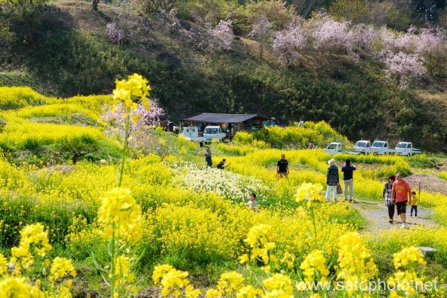 風景写真